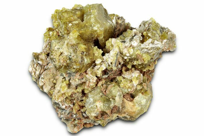 Yellow Andradite-Grossular Garnet Cluster with Clinochlore - Mali #330498